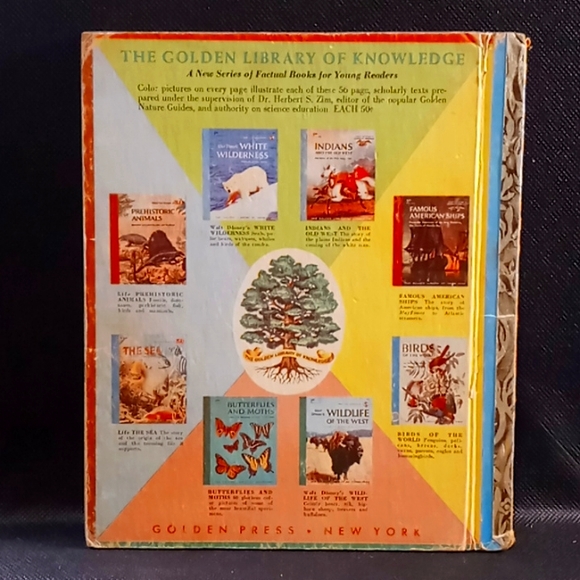 Vintage 1959 Walt Disney's "Tonka" Little Golden Book - Picture 12 of 16